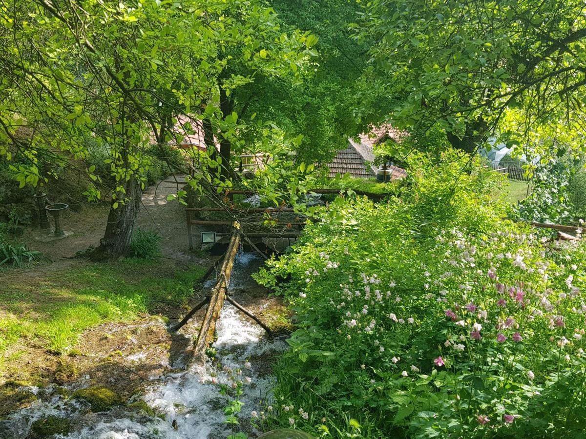 Guest House Lisinski Raj Despotovac Εξωτερικό φωτογραφία