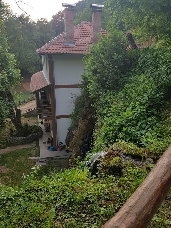 Guest House Lisinski Raj Despotovac Εξωτερικό φωτογραφία