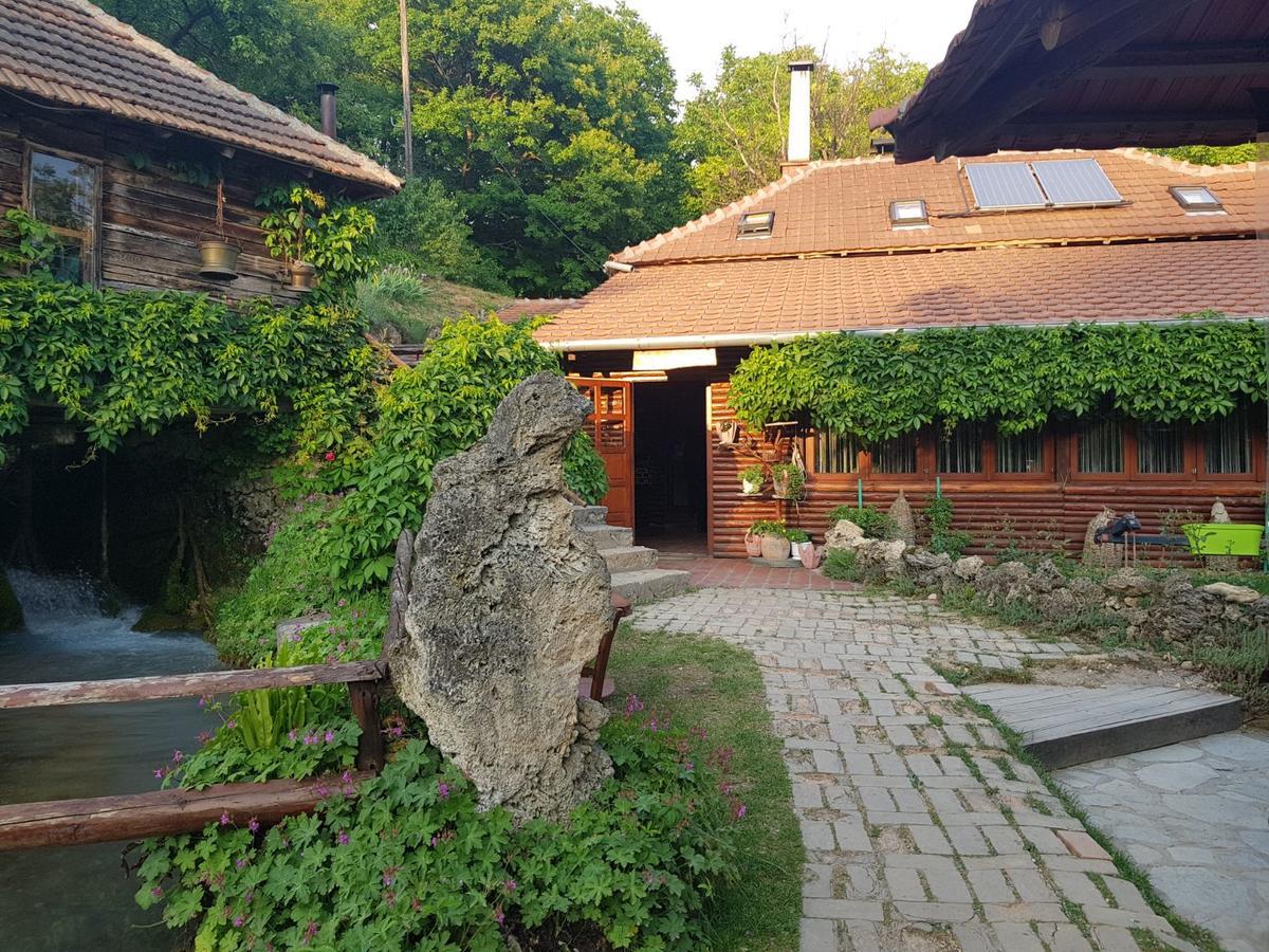Guest House Lisinski Raj Despotovac Εξωτερικό φωτογραφία