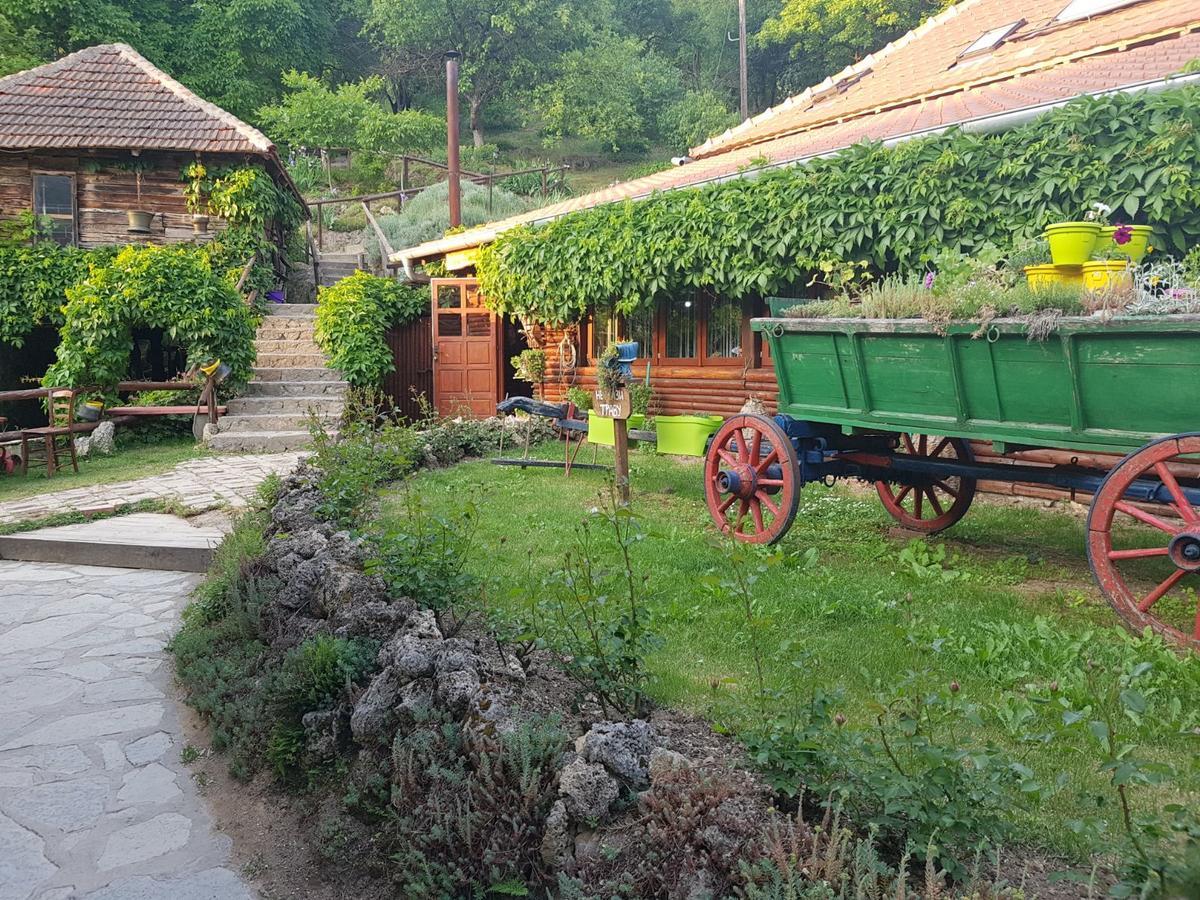Guest House Lisinski Raj Despotovac Εξωτερικό φωτογραφία