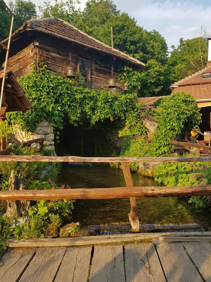 Guest House Lisinski Raj Despotovac Εξωτερικό φωτογραφία