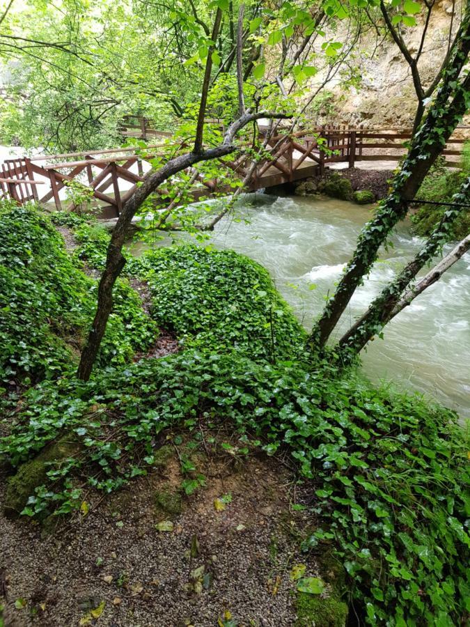 Guest House Lisinski Raj Despotovac Εξωτερικό φωτογραφία
